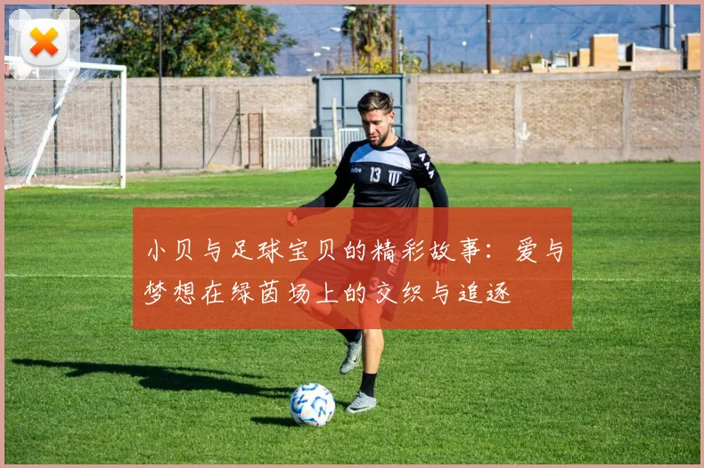 小贝与足球宝贝的精彩故事：爱与梦想在绿茵场上的交织与追逐
