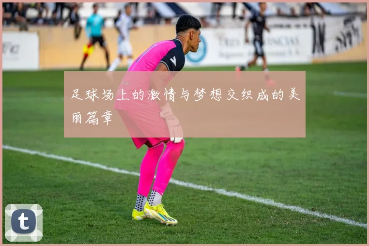 足球场上的激情与梦想交织成的美丽篇章