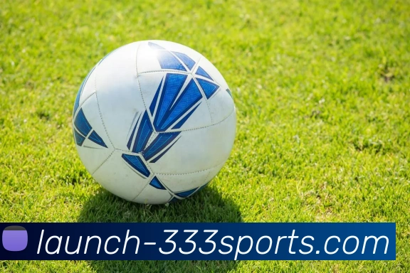 333体育中国APP 高清赛事图